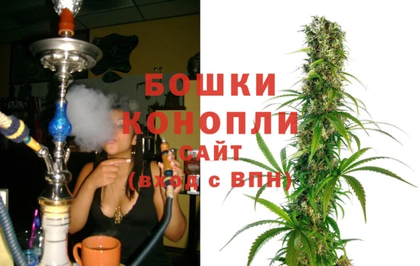 гидра Бугульма