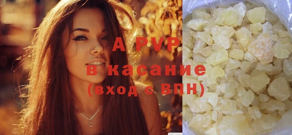 крисы Богородицк