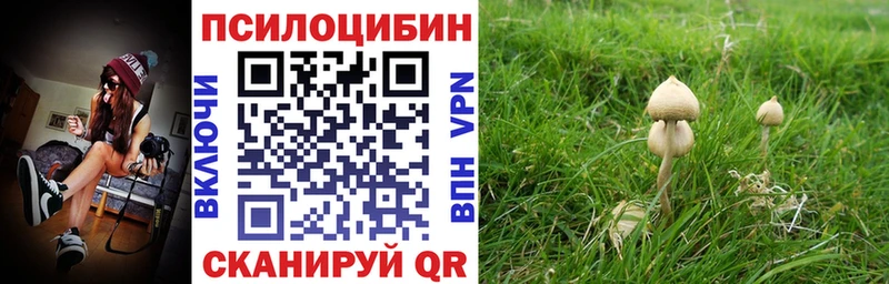 Псилоцибиновые грибы мицелий  даркнет как зайти  Ворсма  купить  цена 